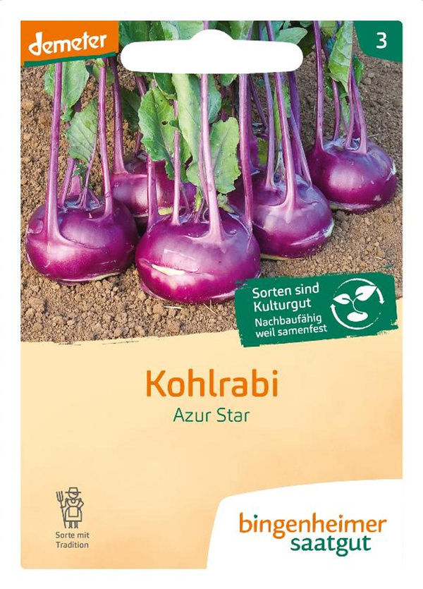 Produktfoto zu Saatgut Kohlrabi Azur Star