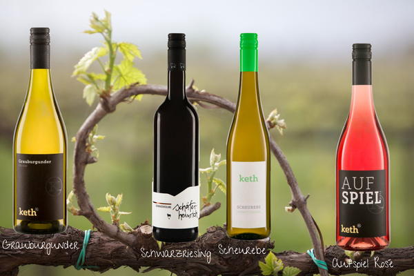 4 verscheidene Weinflaschen als Bildkomposition mit Rebstock im Hintergrund