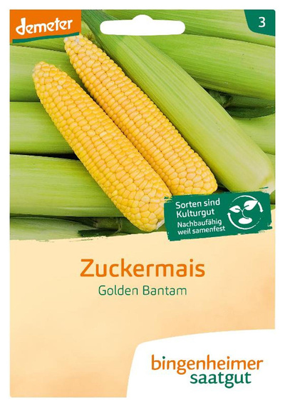 Produktfoto zu Saatgut Zuckermais Golden Bantam