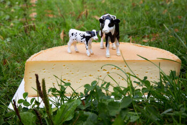 Produktfoto zu Dannauer Natur, 50%