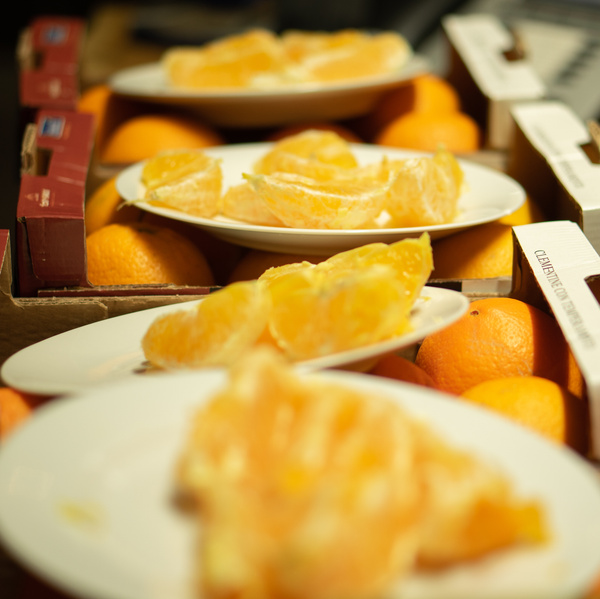 Orangenschnitze zum Probieren auf Tellern