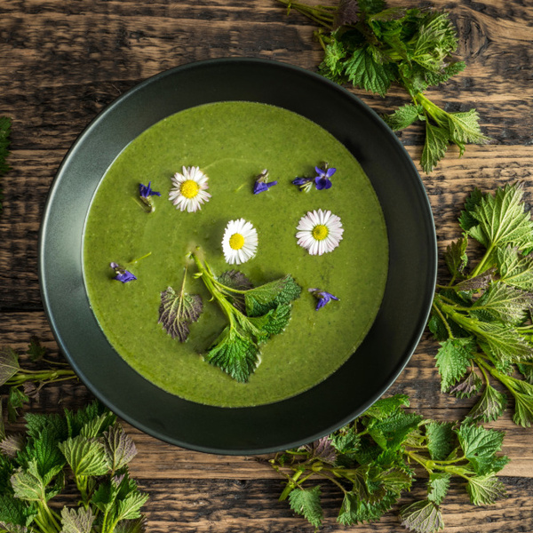 Schale mit einer grünen Suppe aus frischen Wildkräutern, garniert mit Blüten