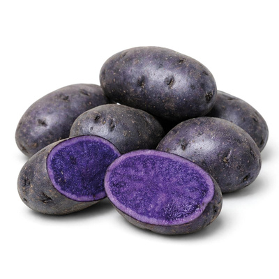 Produktfoto zu Kartoffeln Blaue Anneliese kg