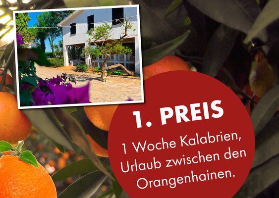 KI generiert: Ein Haus in Orangenhainen, mit Text: „1. Preis: 1 Woche Kalabrien, Urlaub zwischen den Orangenhainen.“