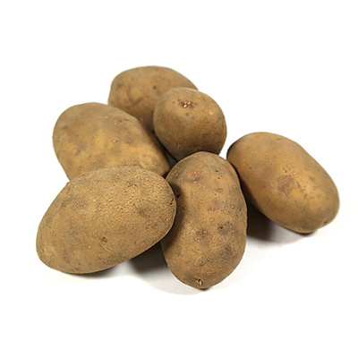 Produktfoto zu Kartoffeln Gunda mehligkochend