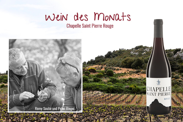 Unser Wein des Monats: Chapelle Saint Pierre rouge - trocken und fruchtig