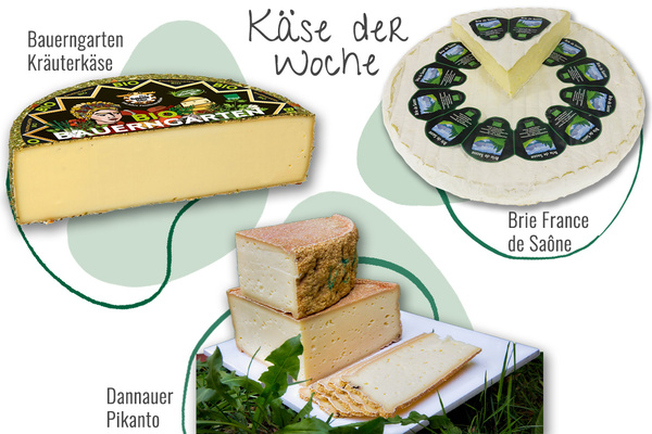 KI generiert: Verschiedene Käsesorten: Bauerngarten Kräuterkäse, Dannauer Pikanto, Brie France de Saône. Text: "Käse der Woche".