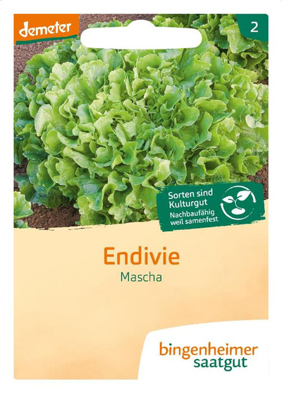 Produktfoto zu Saatgut Endivie Mascha Diva