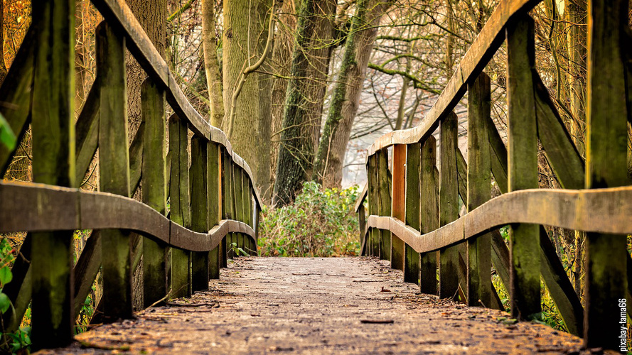 Wie fängt für euch das neue Jahr an?