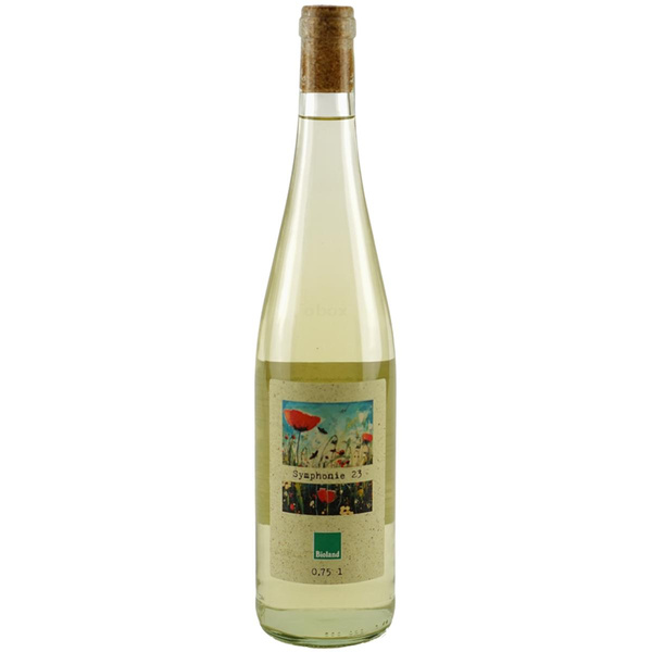 Produktfoto zu Solaris altmärkischer Weißwein Kiste 6x0,75l