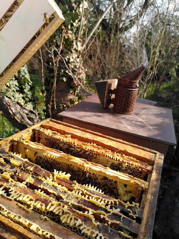 Grünland Bio Lieferant Imkerei Die Wabe