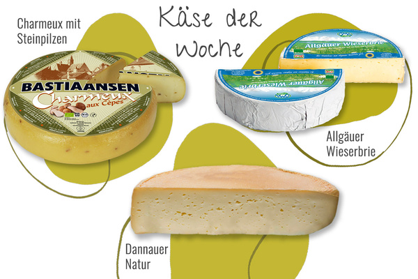KI generiert: Das Bild zeigt eine Auswahl an Käsesorten, die als "Käse der Woche" präsentiert werden. Abgebildet sind Charmeux mit Steinpilzen, Allgäuer Wieserbrie und Dannauer Natur.