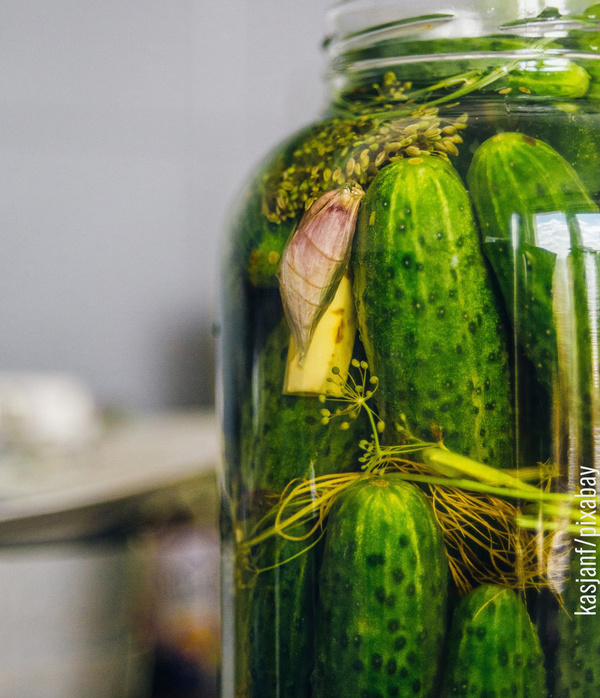 Einmachglas mit eingelegten Gürkchen, Knoblauch und Dillblüten