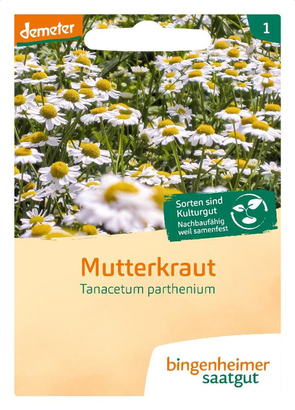 Produktfoto zu Saatgut Mutterkraut