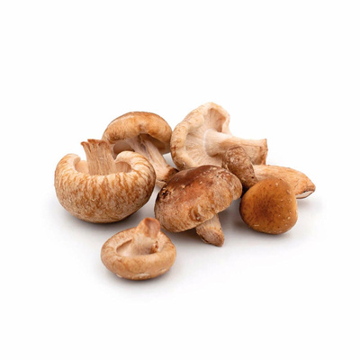 Produktfoto zu Shiitake
