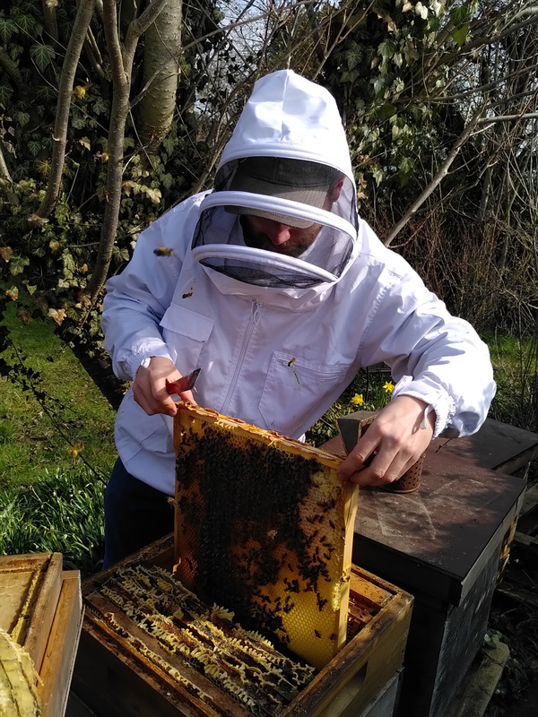 Grünland Bio Lieferant Imkerei Die Wabe