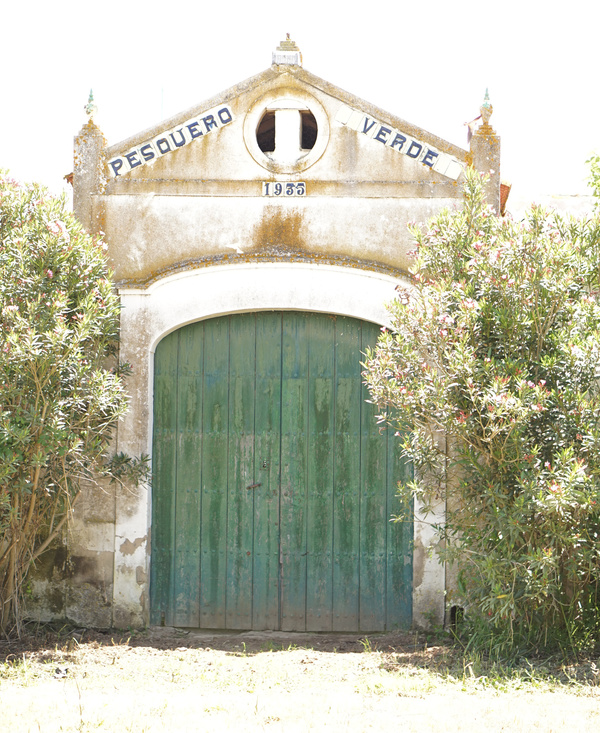 KI generiert: Alter, verlassener Gebäude-Eingang mit grüner Tür, umgeben von Pflanzen. Text: "PESQUERO VERDE 1935".