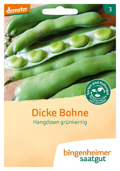 Produktfoto zu Saatgut Dicke Bohne Hangdown grünkernig