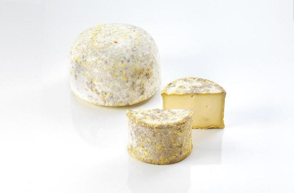 Produktfoto zu L'Agasse du Larzac