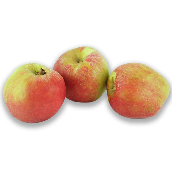 Produktfoto zu Äpfel Gravensteiner