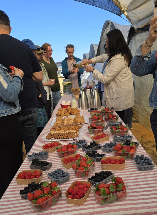 KI generiert: Ein Tisch mit Beeren und Gebäck, umgeben von Menschen.