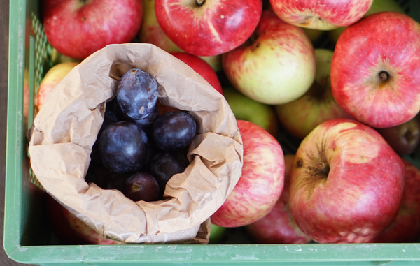 KI generiert: Ein Korb voller Äpfel mit einer Papiertüte voller Pflaumen.
