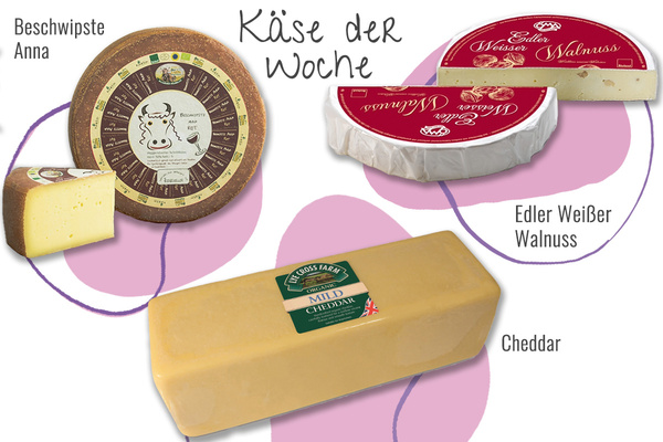 KI generiert: Das Bild zeigt verschiedene Käsesorten, die als "Käse der Woche" präsentiert werden: "Beschwipste Anna", "Edler Weißer Walnuss" und "Mild Cheddar". Es hebt die Vielfalt und Besonderheiten dieser Käsesorten hervor.
