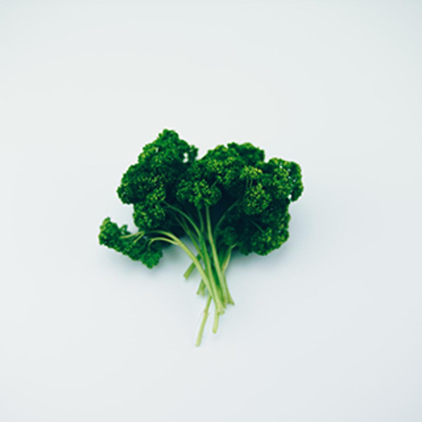 Produktfoto zu Petersilie kraus