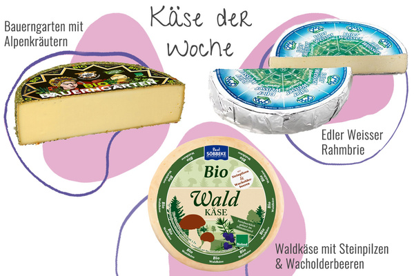 Drei Käsesorten aus der Abokiste in einem Bild