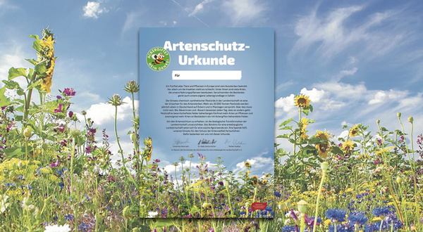 Bildkomposition Artenschutz-Blühwiese und Urkunde