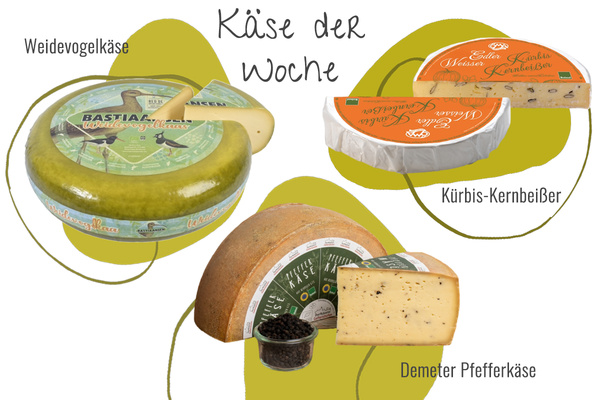 Drei Käsesorten aus der Abokiste in einem Bild