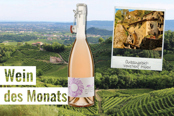KI generiert: Eine Flasche Roséwein vor einem Weinberg; Text: "Wein des Monats" und "Anbaugebiet: Venetien, Italien".