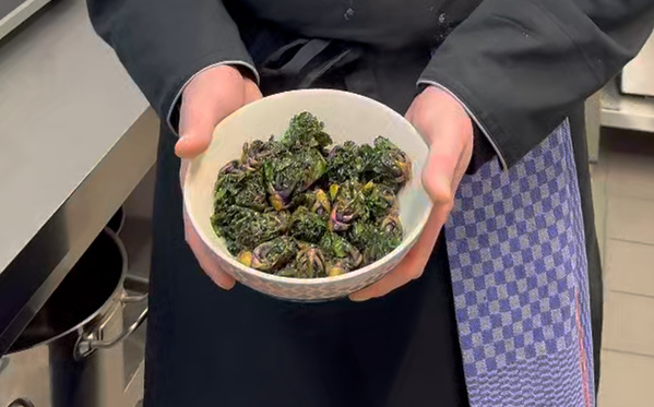 KI generiert: Eine Person hält eine Schale mit gedämpftem Gemüse in der Küche.