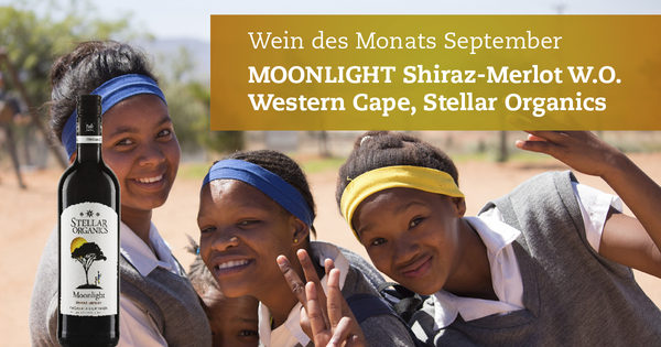 Plakat Wein des Monats September Moonlight Shiraz-Merlot
