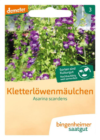 Produktfoto zu Saatgut Kletterlöwenmäulchen