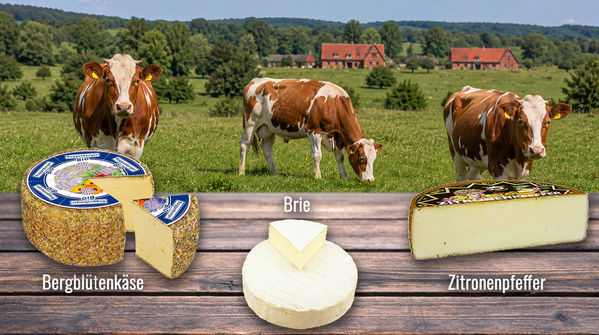 Unser Käse-Trio der Woche
