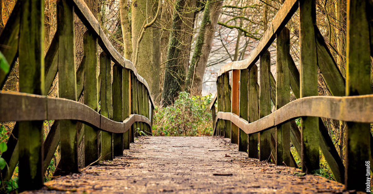 Brücke mit Holzgeländer im Wald