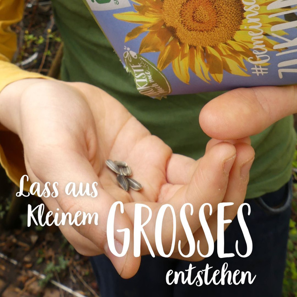 Hand mit Sonnenblumensamen und Saatguttüte