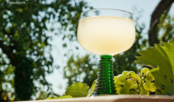 Gefülltes Glas mit Federweißem neben Trauben