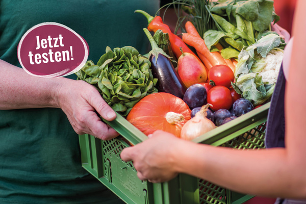 KI-generierte Beschreibung: Eine Hand hält einen Korb mit frischem Gemüse und Obst. Text: "Jetzt testen!"