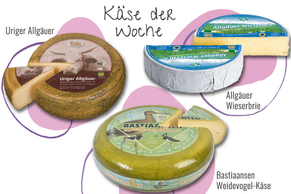 KI generiert: Verschiedene Käsesorten: Uriger Allgäuer, Allgäuer Wieserbrie, Bastiaansen Weidevogel-Käse. "Käse der Woche".