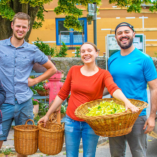 Teambild vom Michaaelshof mit gesammelten Kräuternn