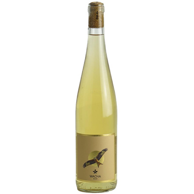 Produktfoto zu Cuvee Muscaris-Solaris altmärkischer Weißwein