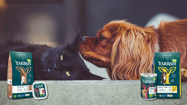 Katze und Hund liegen nebeneinander mit Futter von Yarrah im Vordergrund