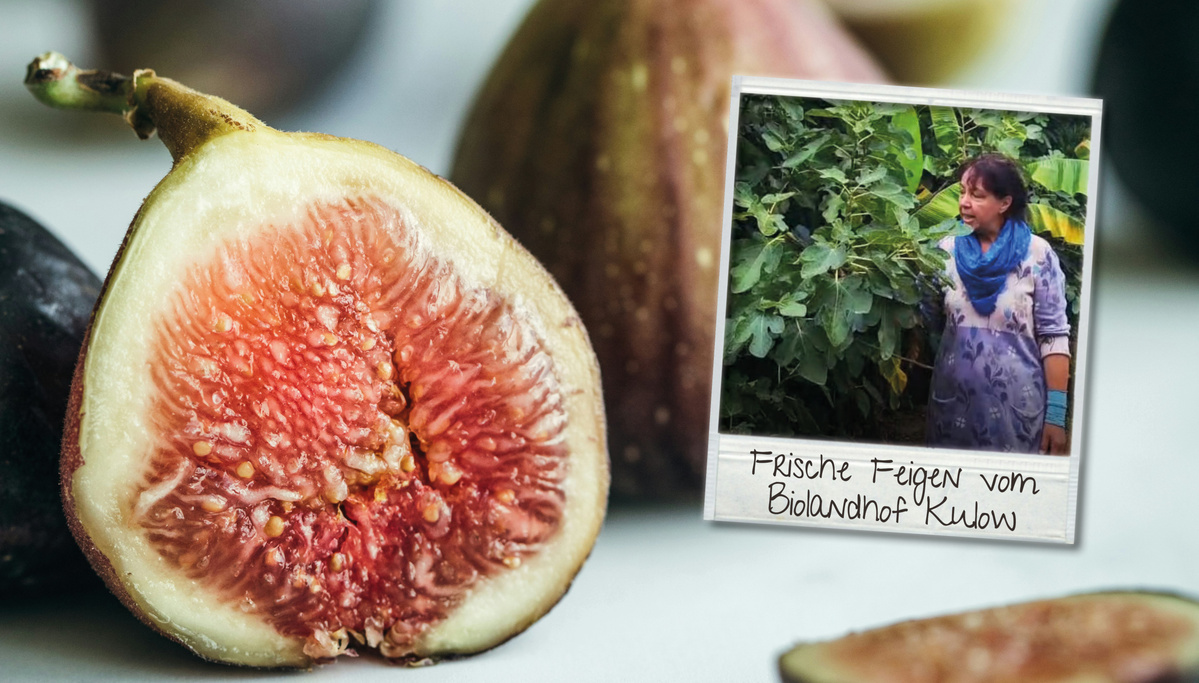 KI generiert: Eine frische Feige mit einem Foto, das eine Person neben Feigenpflanzen zeigt. Text: "Frische Feigen vom Biolandhof Kulow".