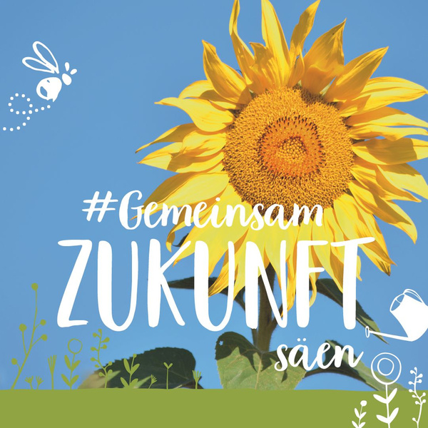Sonnenblume mit Text Gemeinsam Zukunft säen