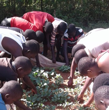 Waisenkinder bei Gartenarbeit vom Hilfsprojekt Nord-Süd-Partner