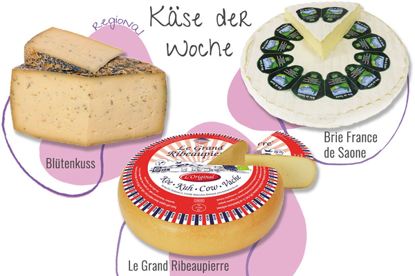 Drei Käsesorten aus der Abokiste in einem Bild