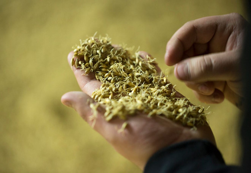 Grünland Bio Lieferant Neumarkter Lammsbräu