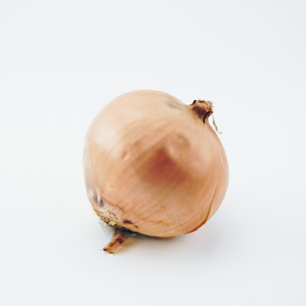 Produktfoto zu Zwiebeln gelb 2,5kg